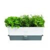 Cole & Mason - Self-Watering Triple Herb Keeper 1 Cole & Mason - Self-Watering Triple Herb Keeper -Kitchen Supplies 486132 Large