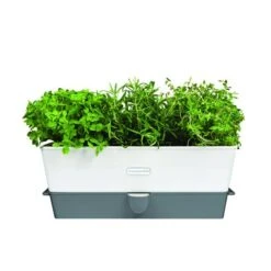 Cole & Mason - Self-Watering Triple Herb Keeper