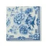Caspari - Cocktail Napkins Blue And White 20pce -Kitchen Supplies 494426 Large