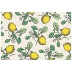 Hester & Cook - Placemats Lemons Set 24pce