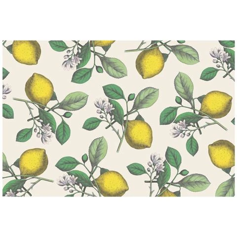 Hester & Cook - Placemats Lemons Set 24pce 3 Hester & Cook - Placemats Lemons Set 24pce